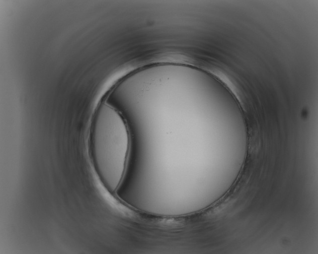 X0000093511139200710121058