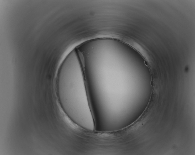 X0000093511140200710121058