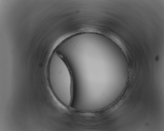 X0000093511141200710121058