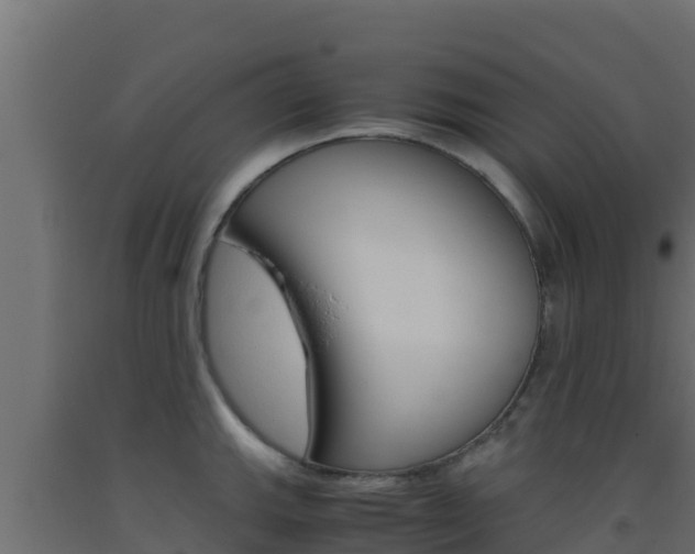 X0000093511143200710121058