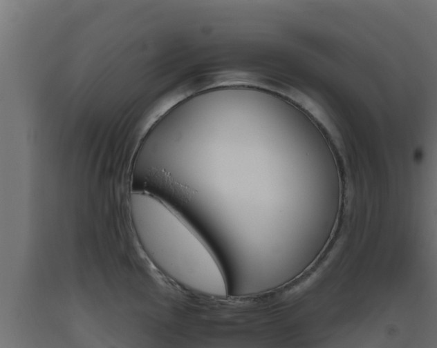 X0000093511145200710121058