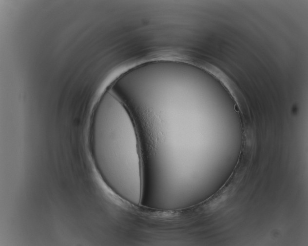 X0000093511147200710121058
