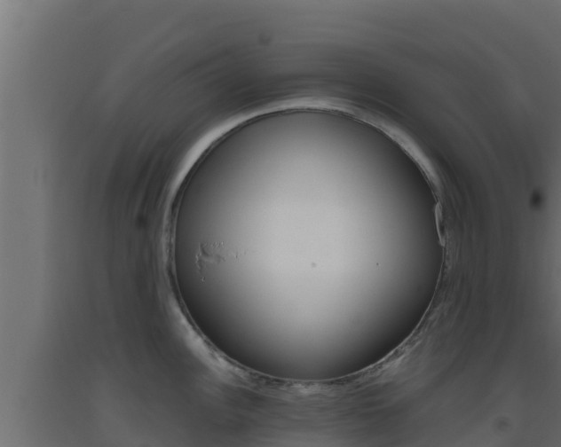 X0000093511148200710121058