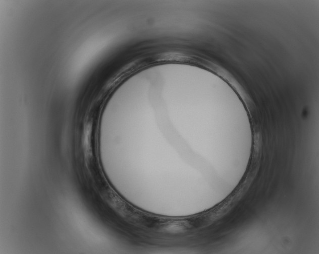 X0000093511150200710121058