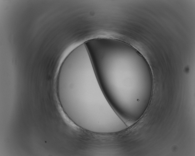 X0000093511152200710121058