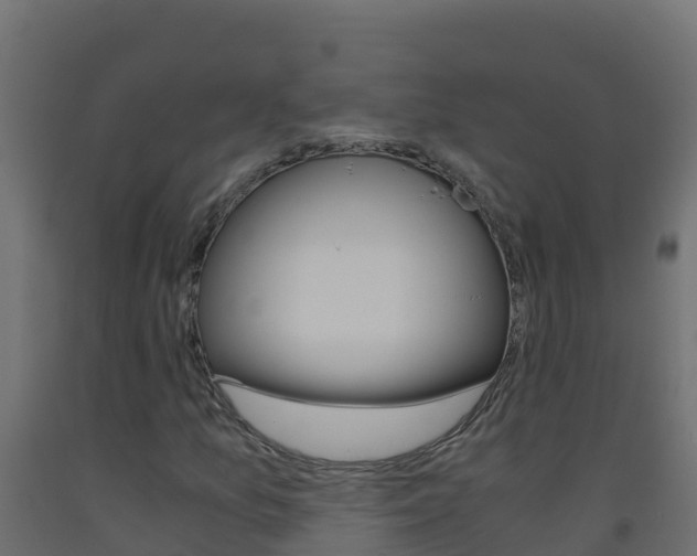 X0000093511157200710121057