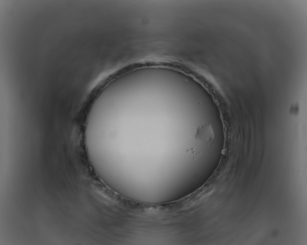 X0000093511160200710121057