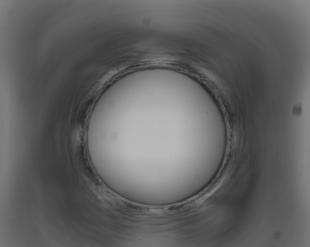 X0000093511161200710121057