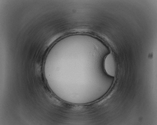 X0000093511162200710121057