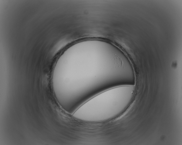 X0000093511163200710121057