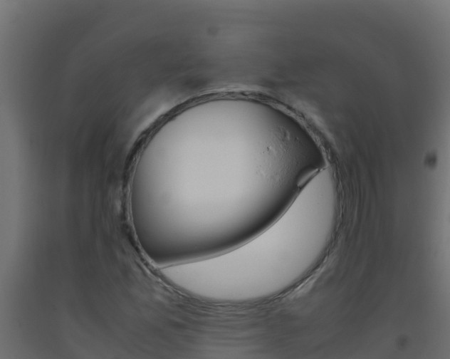 X0000093511165200710121057