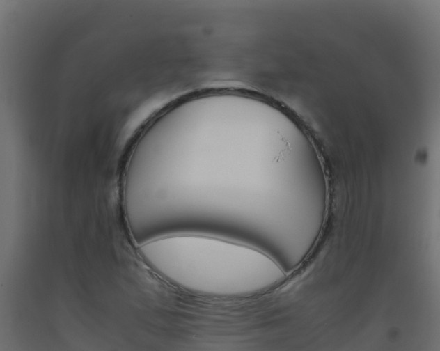 X0000093511167200710121057