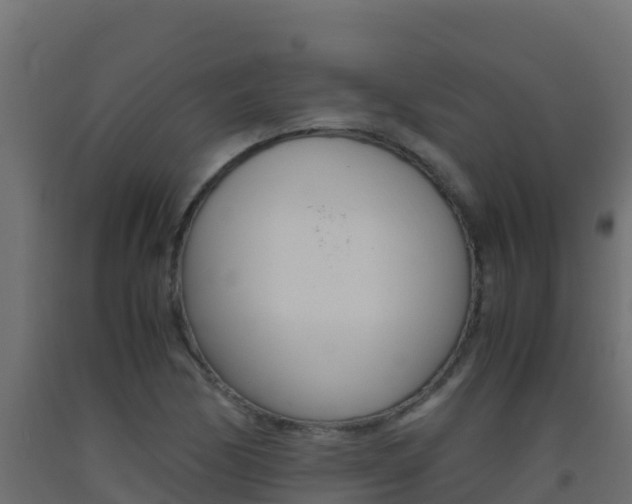 X0000093511170200710121057