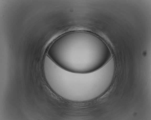 X0000093511173200710121057