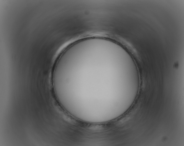 X0000093511174200710121057