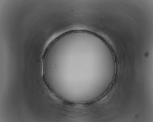 X0000093511175200710121057
