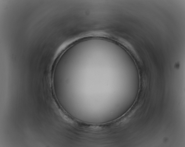 X0000093511176200710121057