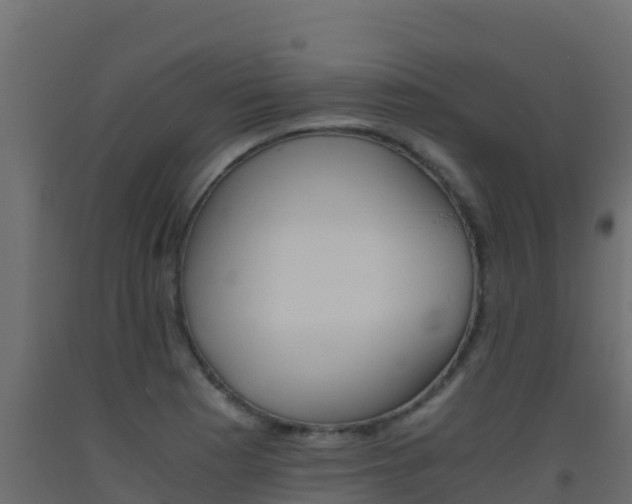 X0000093511177200710121057