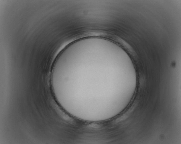 X0000093511178200710121057