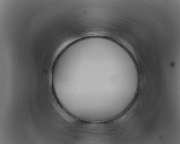 X0000093511179200710121057