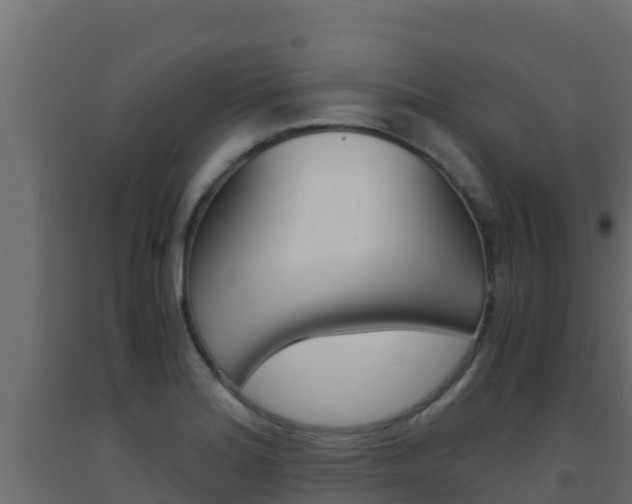 X0000093511180200710121057
