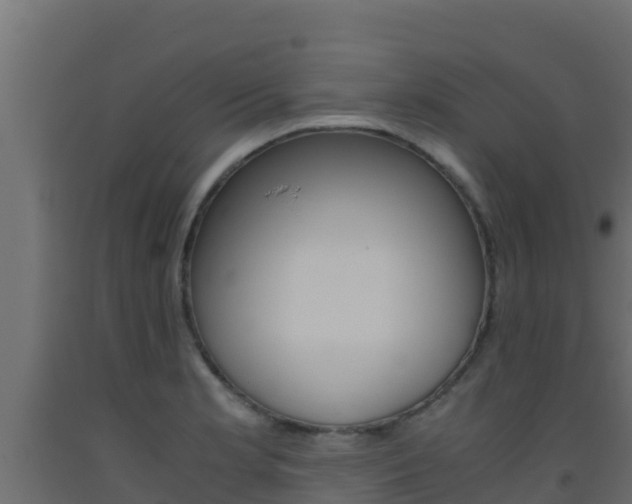 X0000093511181200710121057