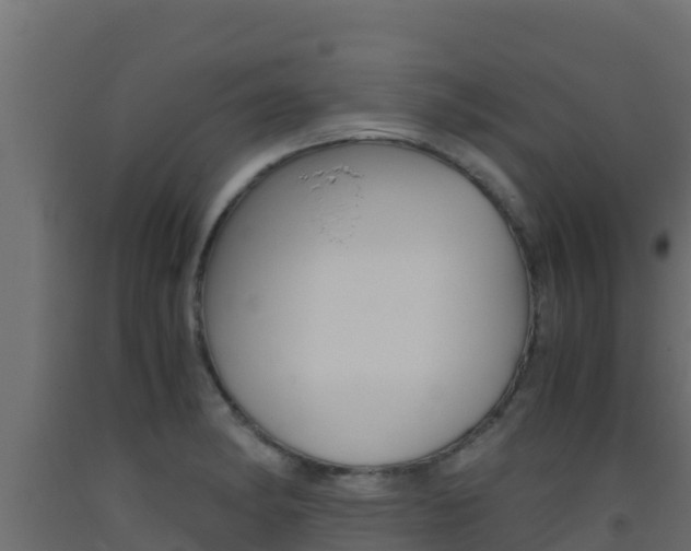 X0000093511182200710121057