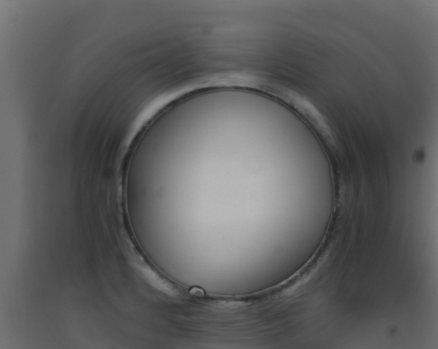 X0000093511184200710121057