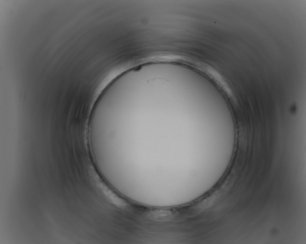 X0000093511186200710121057