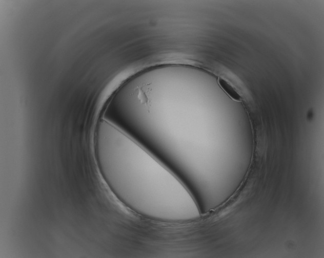 X0000093511188200710121057