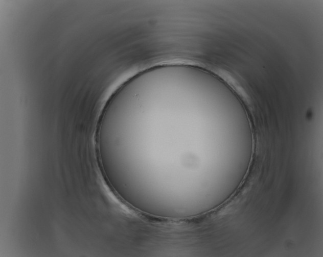 X0000093511189200710121057