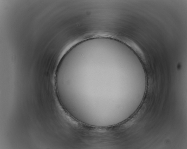 X0000093511190200710121057