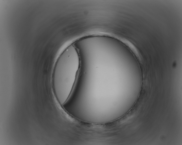X0000093511191200710121057
