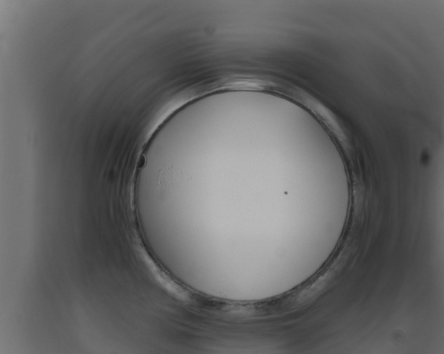 X0000093511194200710121057