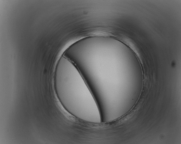 X0000093511195200710121057