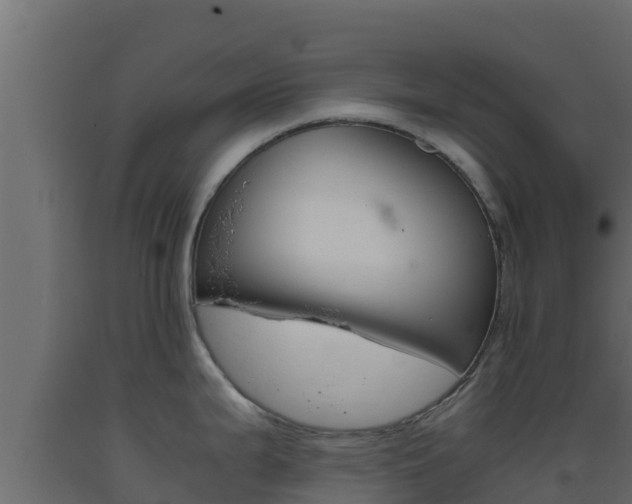 X0000093511199200710121057