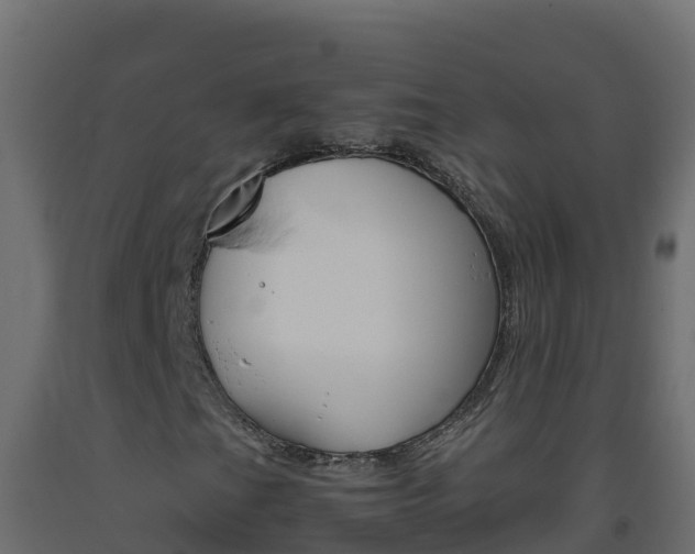 X0000093511201200710121056