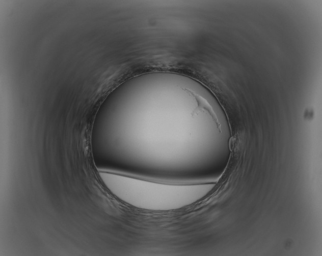 X0000093511202200710121056