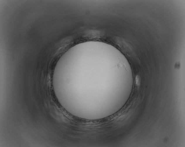 X0000093511203200710121056