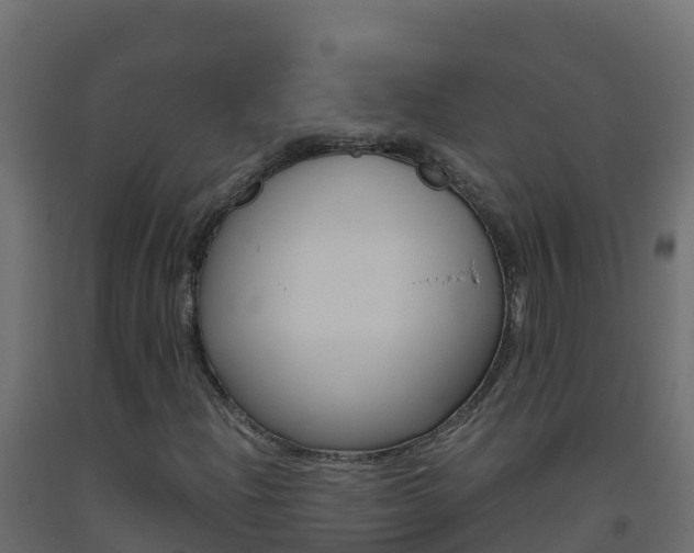X0000093511204200710121056