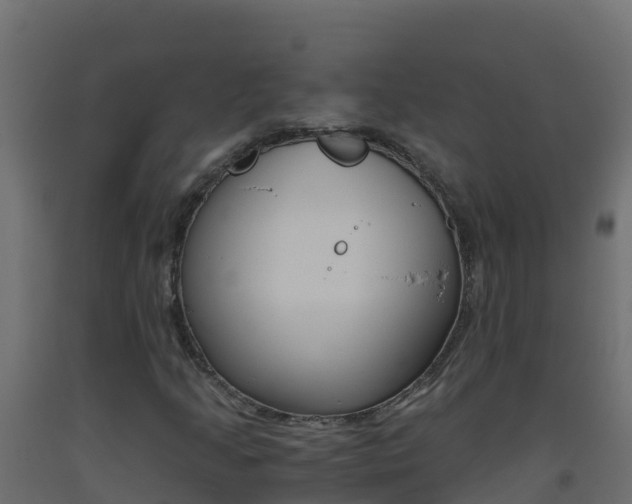 X0000093511205200710121056
