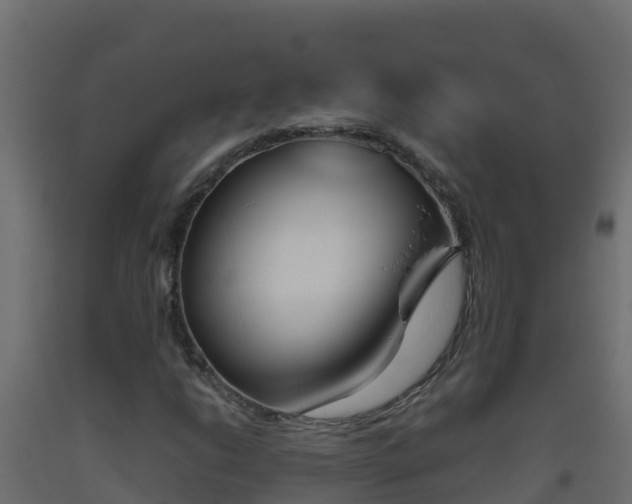 X0000093511206200710121056