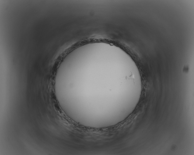 X0000093511207200710121056