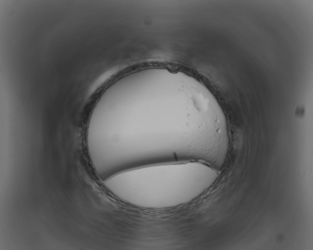 X0000093511208200710121056