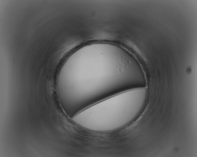 X0000093511213200710121056