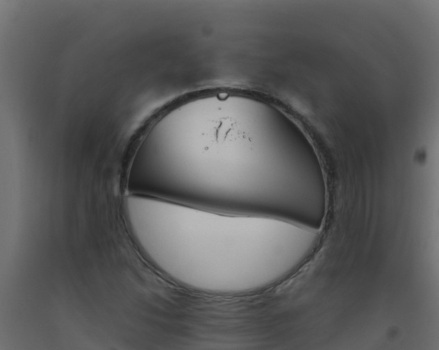 X0000093511214200710121056