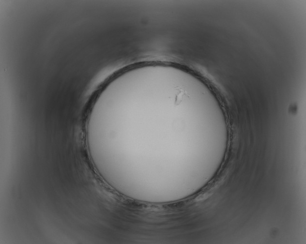 X0000093511215200710121056