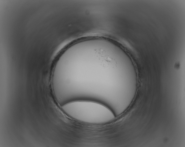 X0000093511216200710121056