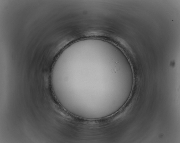 X0000093511217200710121056