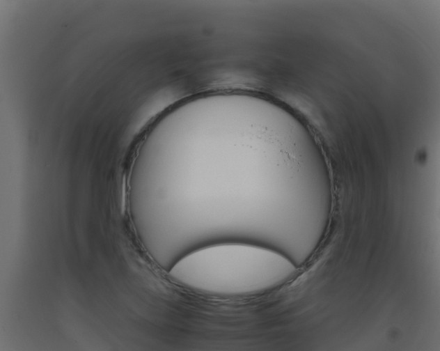 X0000093511219200710121056